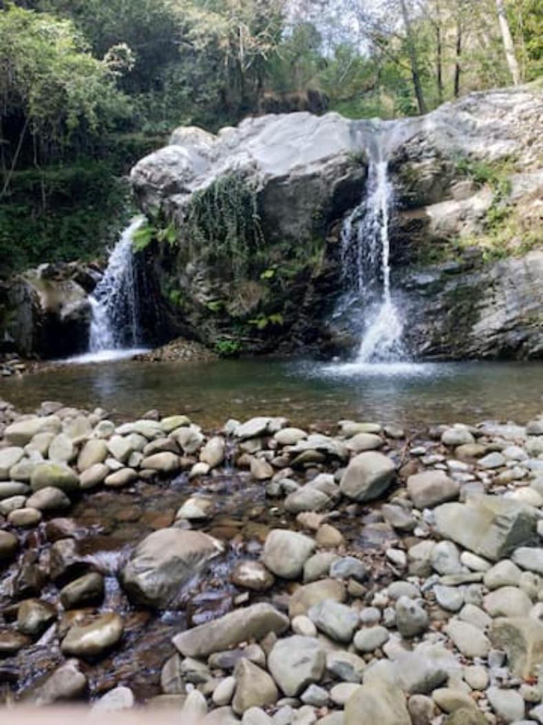Il Nido Verde Groppo  Bagian luar foto