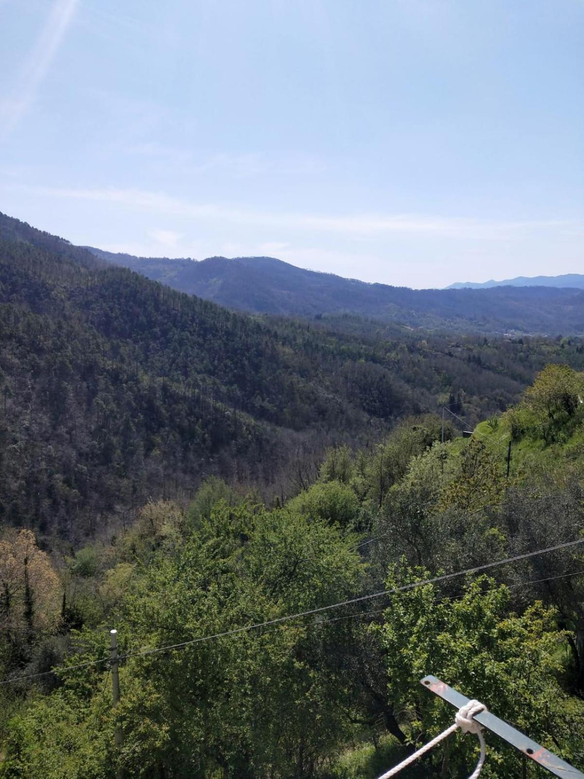 Il Nido Verde Groppo  Bagian luar foto